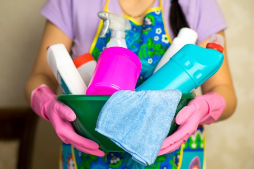 Barnsbury Carpet Cleaners team using sustainable cleaning practices
