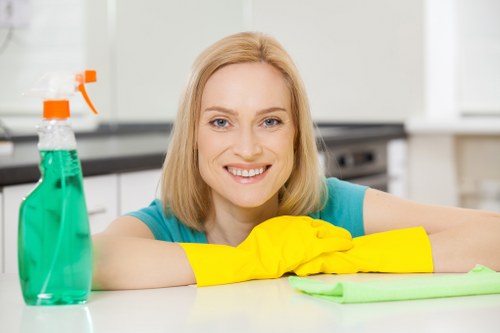 Removing pet urine smell from upholstery in Barnsbury