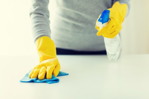 Professional mattress cleaning process in a Barnsbury home