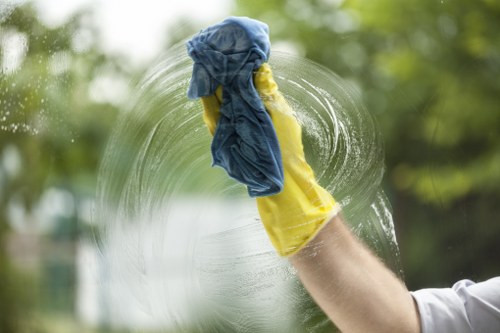 Cleaning products and protective measures used in carpet cleaning work