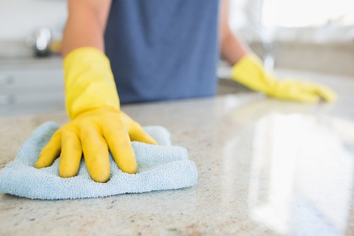 Professional pet stain odour cleaning for carpets in Barnsbury